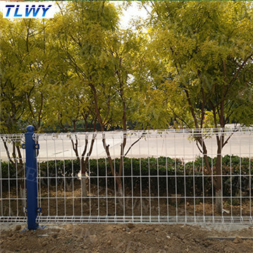 चीन Anping TLWY 30 साल फैक्टरी पाउडर लेपित डबल वायर सुरक्षा बाड़